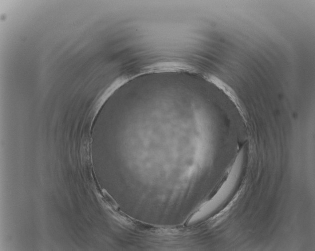 X0000066511473200603311717