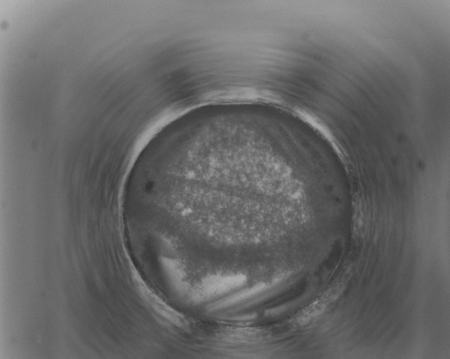 X0000066511475200603311717