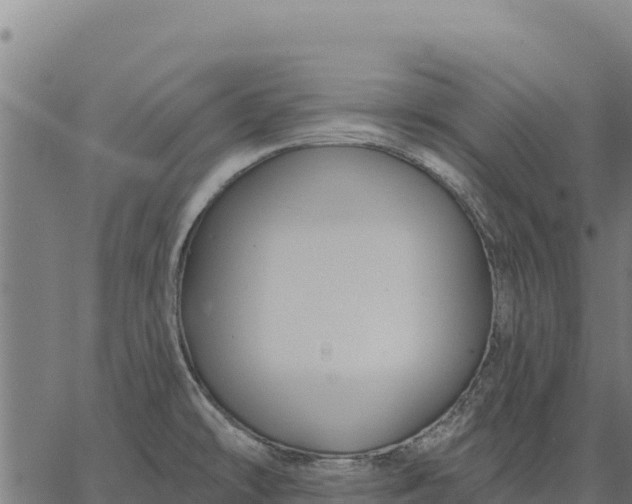 X0000066511478200603311717