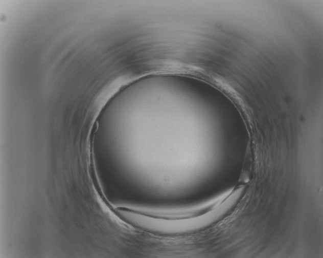 X0000066511479200603311717