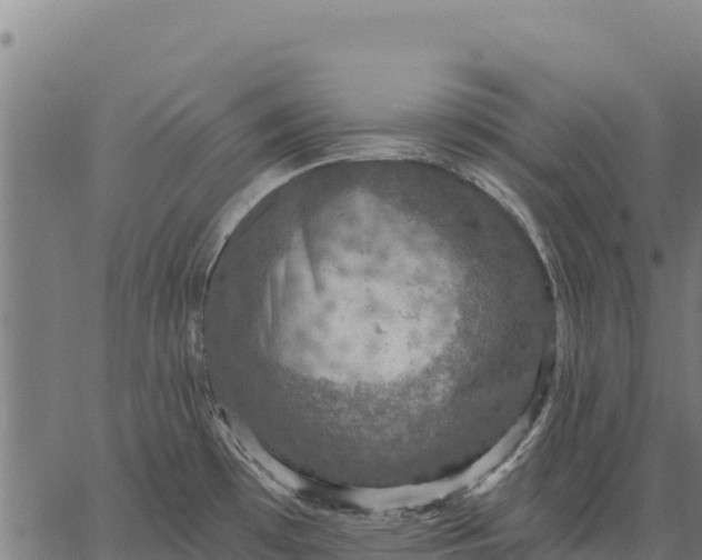 X0000066511481200603311717