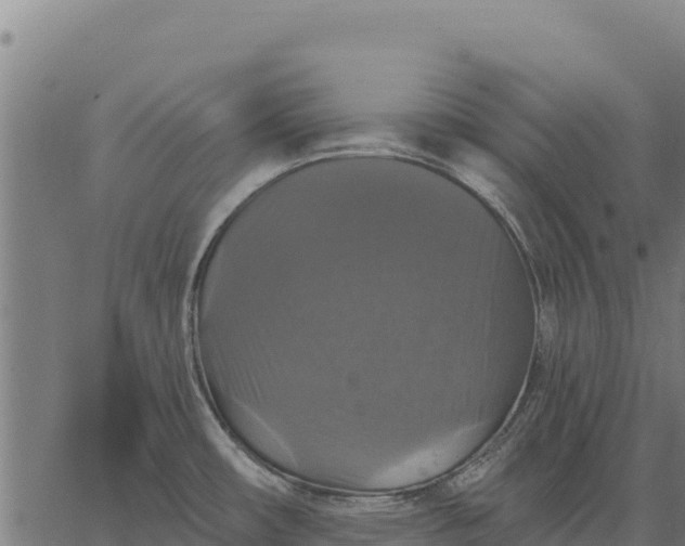 X0000066511482200603311717