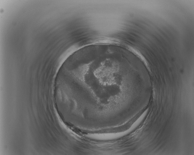 X0000066511483200603311717