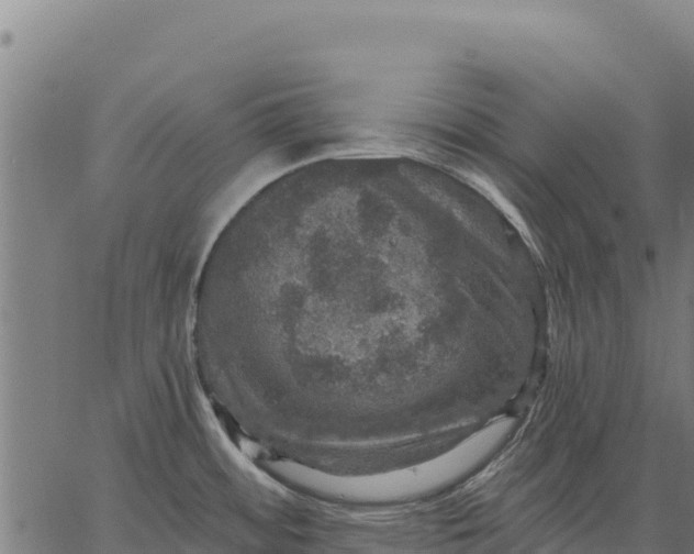 X0000066511484200603311717