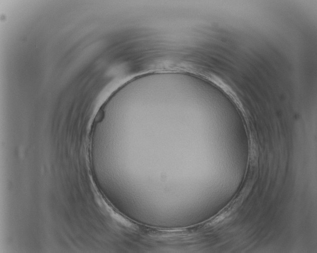 X0000066511486200603311717