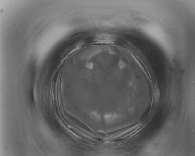 X0000066511487200603311717