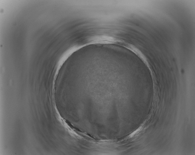 X0000066511488200603311717