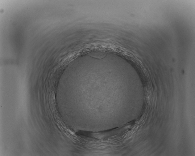 X0000066511489200603311716