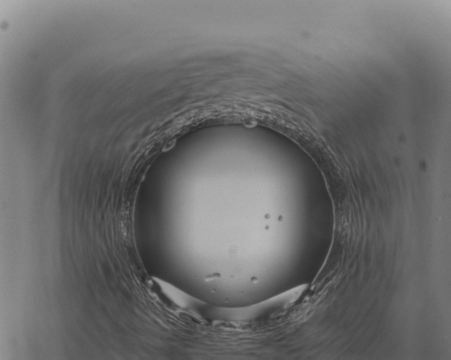 X0000066511490200603311716