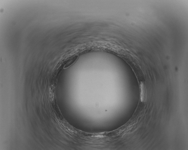 X0000066511491200603311716