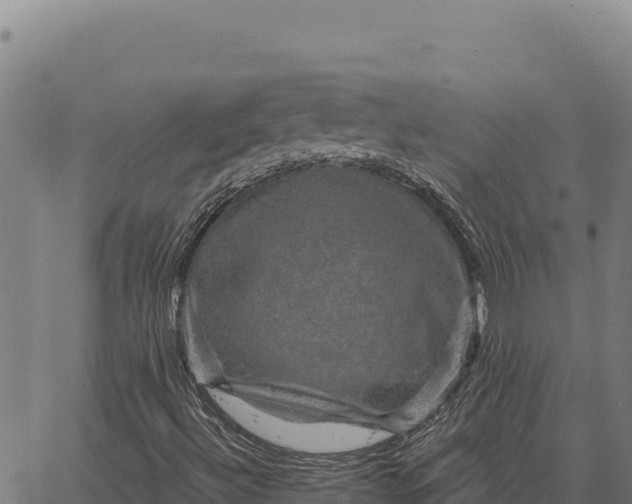 X0000066511492200603311716