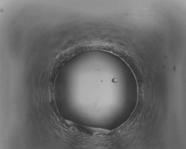 X0000066511493200603311716