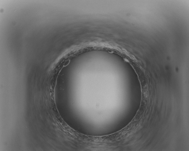 X0000066511495200603311716