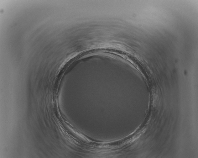 X0000066511497200603311716