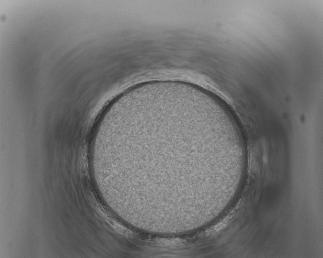 X0000066511498200603311716