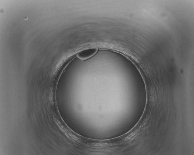 X0000066511499200603311716