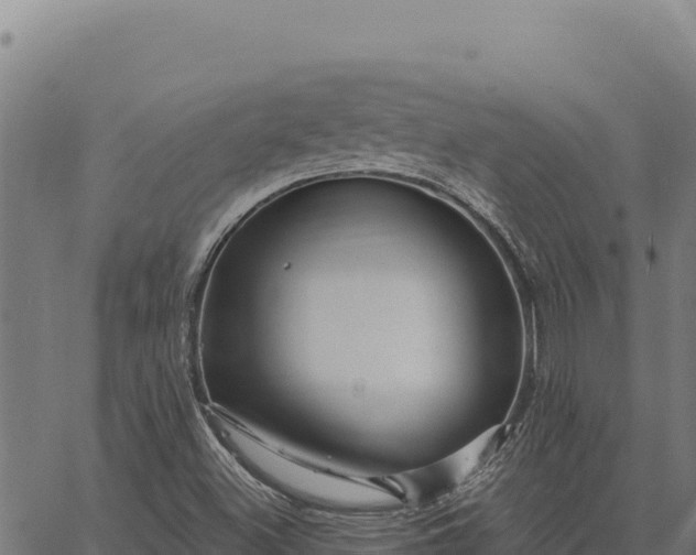 X0000066511500200603311716