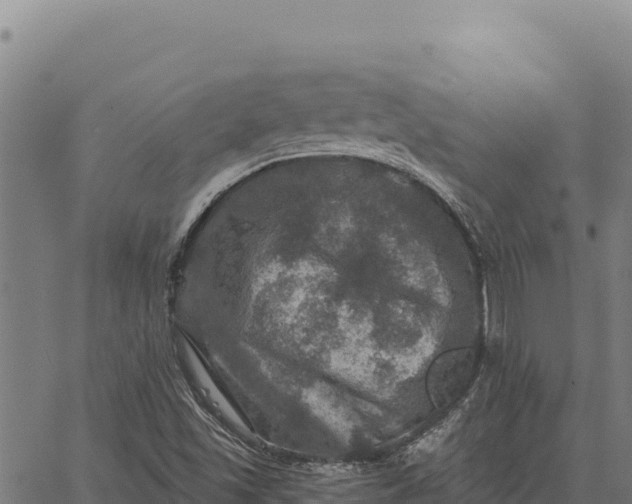 X0000066511501200603311716