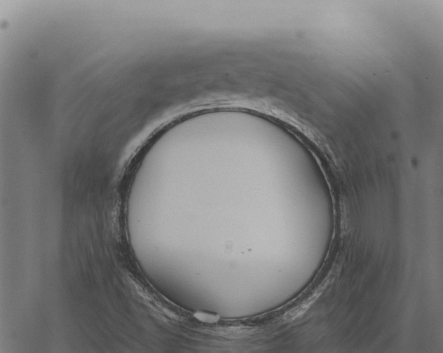 X0000066511502200603311716