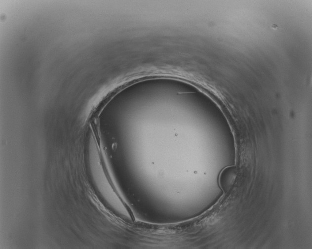 X0000066511503200603311716