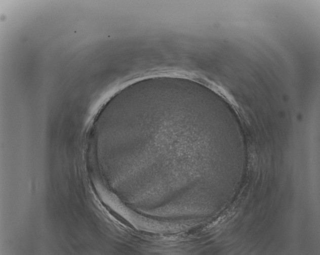 X0000066511504200603311716