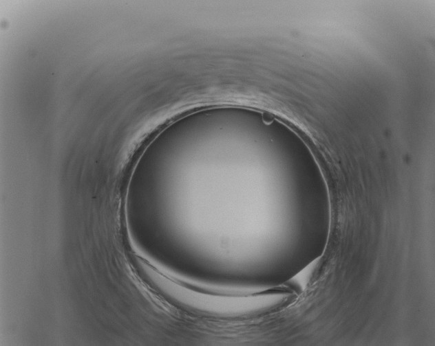 X0000066511507200603311716