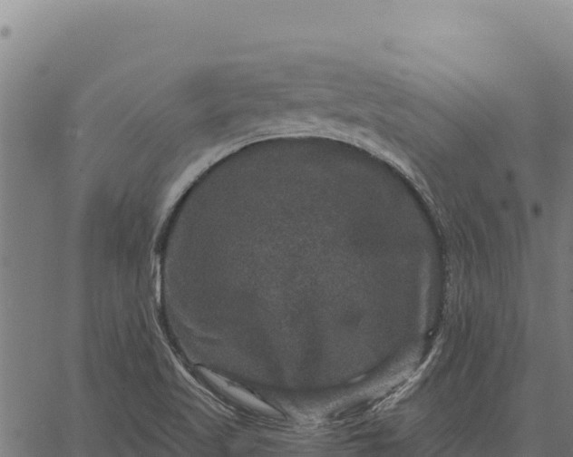 X0000066511509200603311716