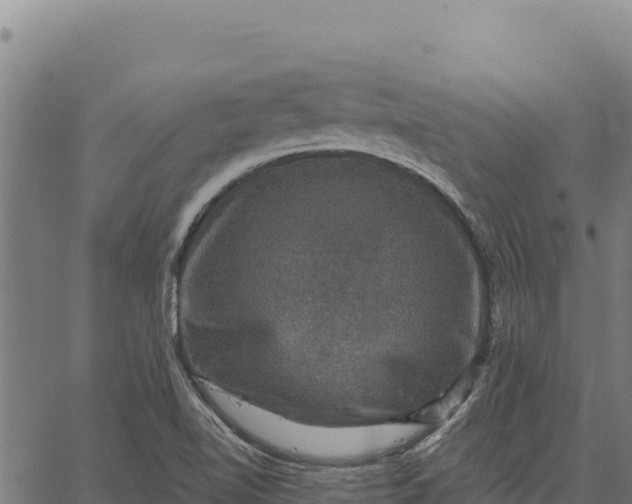 X0000066511510200603311716