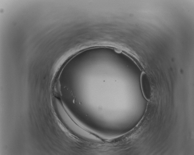 X0000066511511200603311716