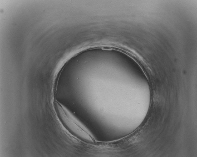 X0000066511512200603311716