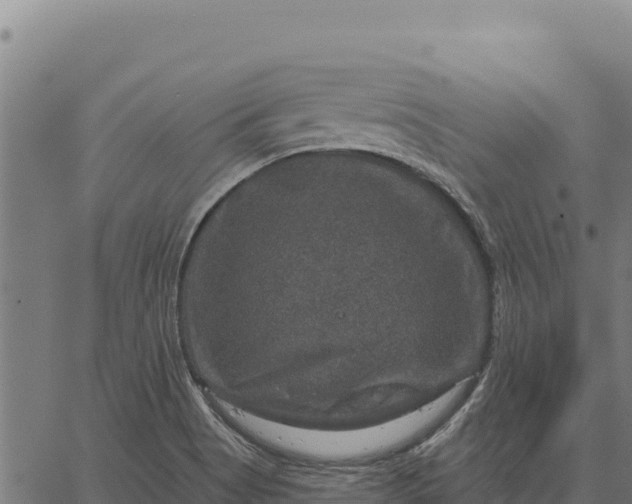 X0000066511513200603311716