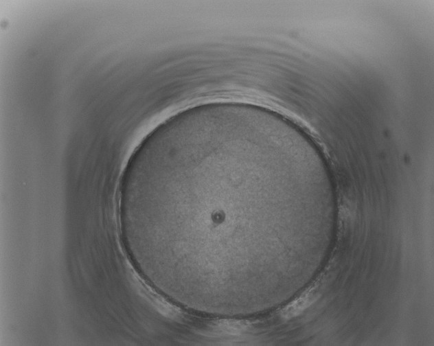 X0000066511514200603311716