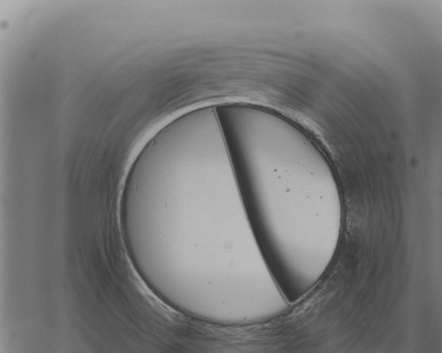 X0000066511516200603311716