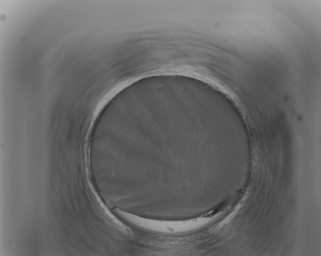 X0000066511517200603311716