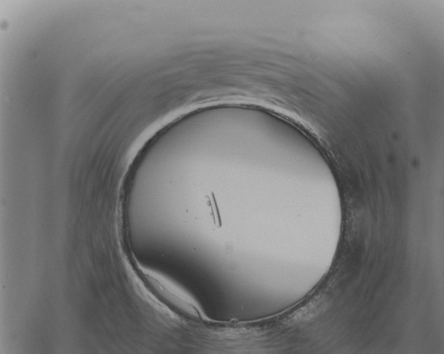 X0000066511518200603311716