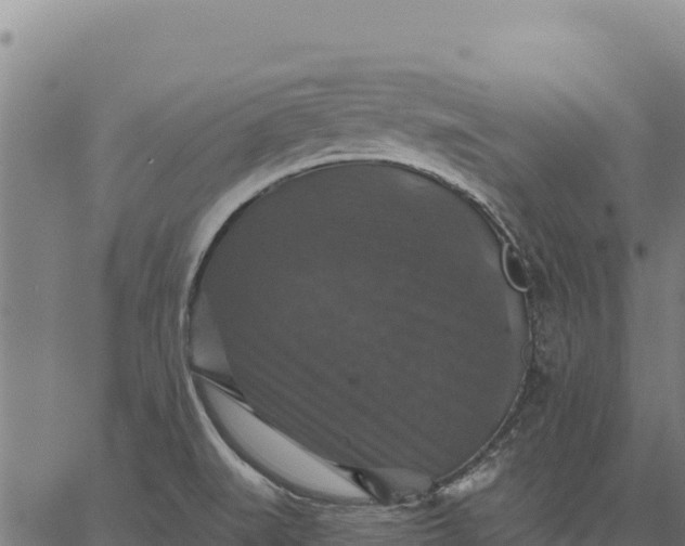 X0000066511519200603311716