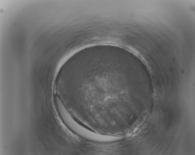 X0000066511520200603311716