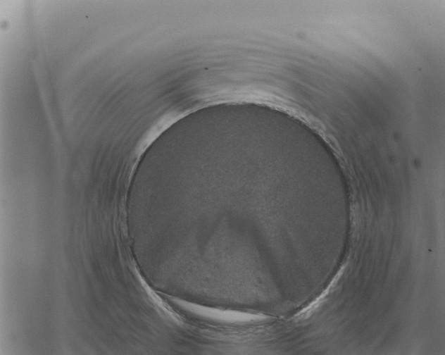 X0000066511521200603311717