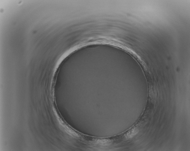 X0000066511522200603311717