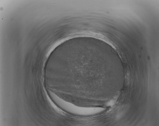 X0000066511523200603311717