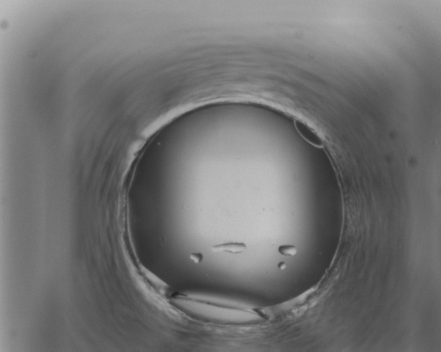 X0000066511526200603311717