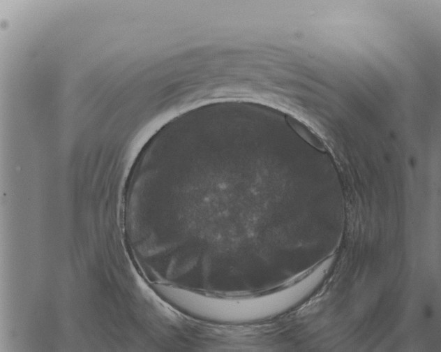 X0000066511527200603311717