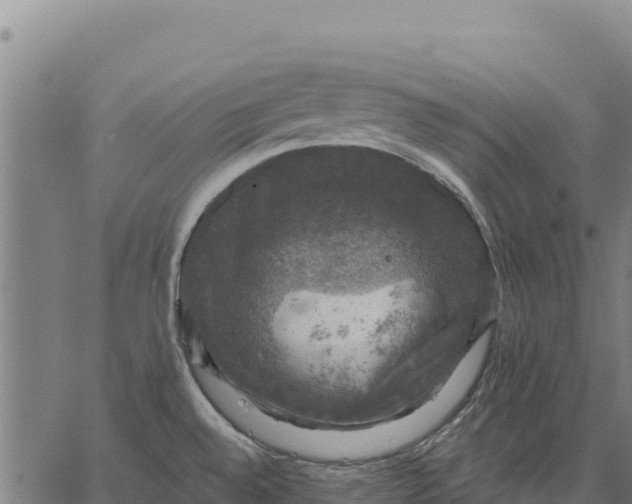 X0000066511528200603311717