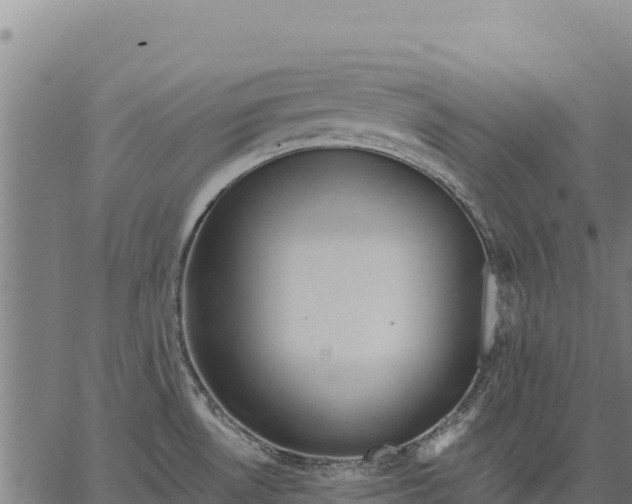 X0000066511530200603311717