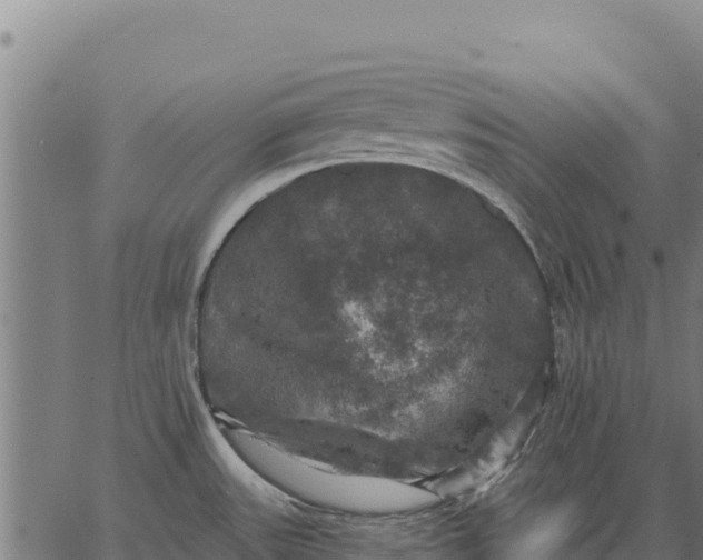 X0000066511531200603311717