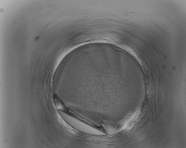 X0000066511532200603311717