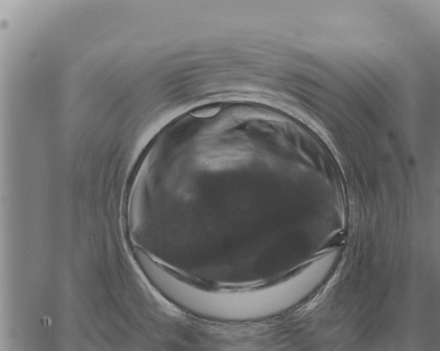 X0000066511533200603311717