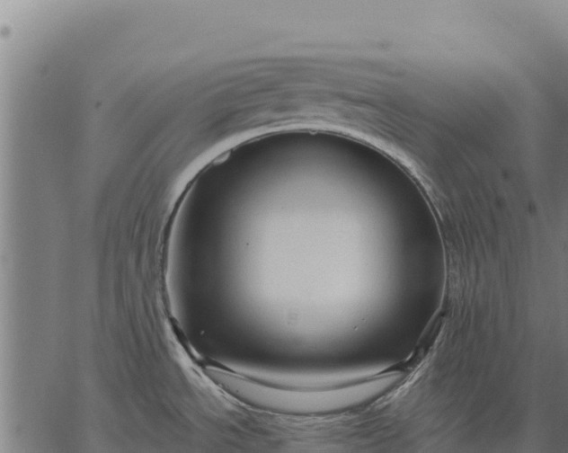 X0000066511534200603311717