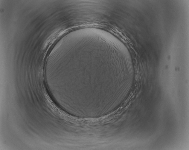 X0000066510002200604071539