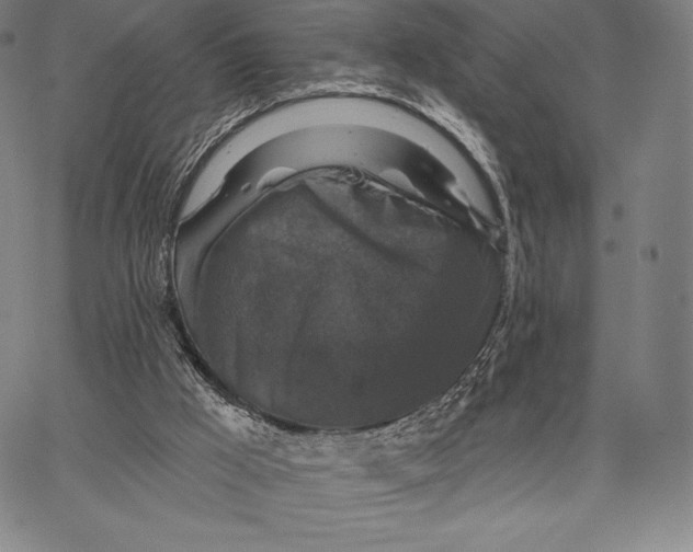 X0000066510009200604071538